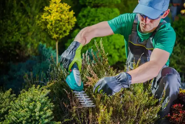 landscaping services Farmerville